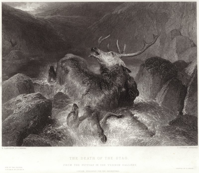 ಸ್ಟಾಗ್ ಟರ್ಕಿಯ ಸಾವು by Edwin Landseer