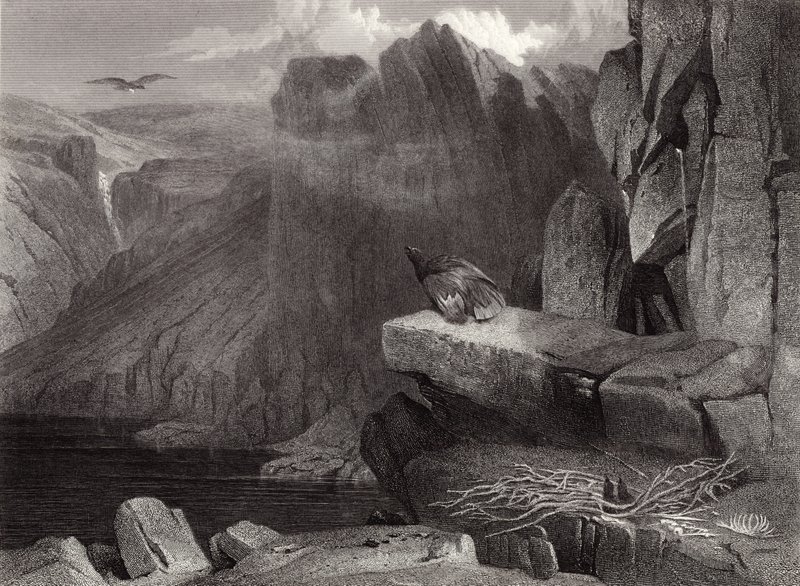 Kartal yuvası by Edwin Landseer