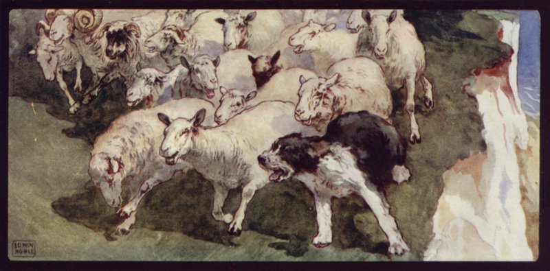 Uçurumlarda Kısa Kuyruklu Çoban Köpeği ve Sürü (renkli taş) by Edwin Noble