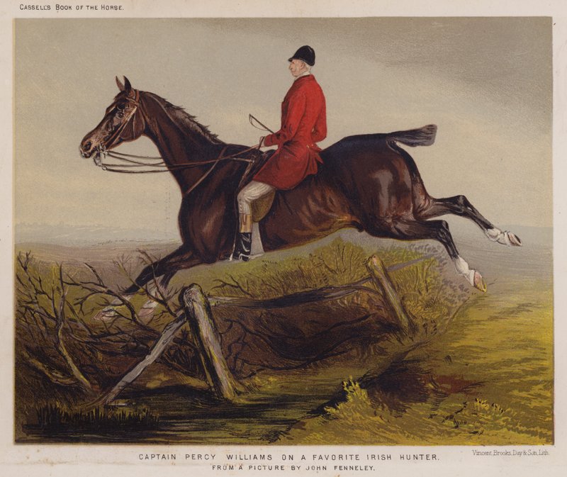 Yüzbaşı Percy Williams Favori İrlandalı Avcı (renkli taş) by Edwin Noble