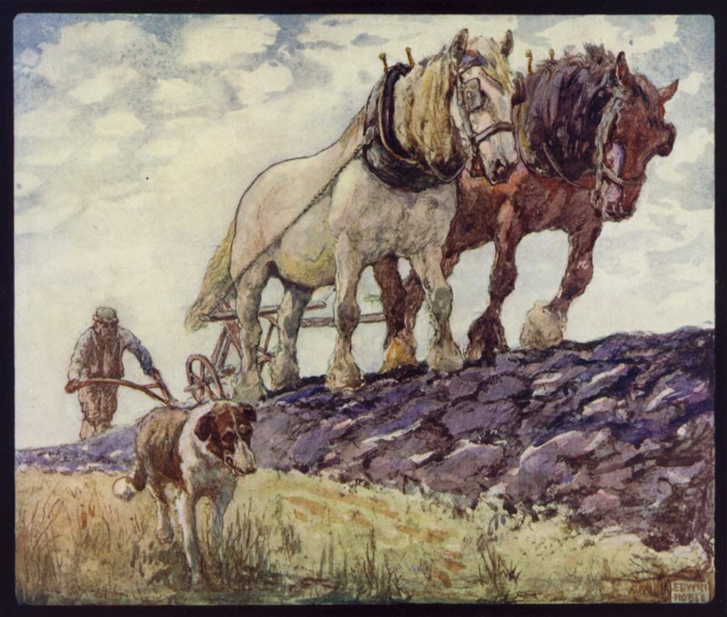 İngiliz Araba-At Çiftçiliği (renkli taş) by Edwin Noble