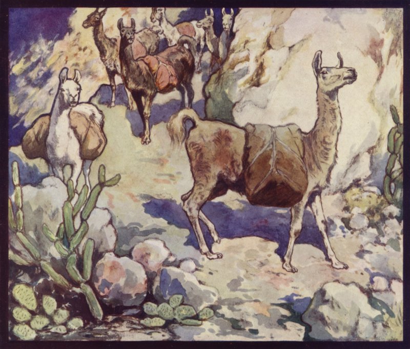 And Dağları