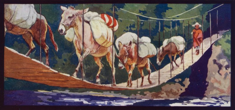 Köprüden geçen katırlar by Edwin Noble