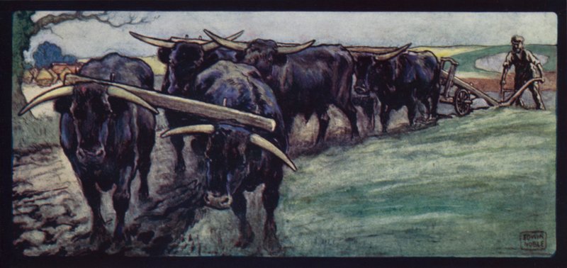 Sussex Yaylalarında Çiftçi Öküz (renkli taş) by Edwin Noble