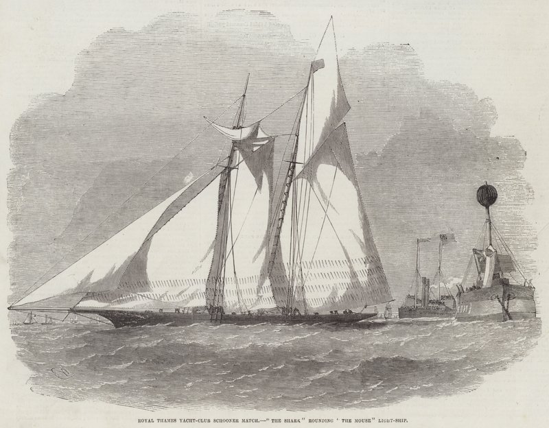 Royal Thames Yat Kulübü Schooner Maçı, Fare Hafif Gemisini Yuvarlayan Köpekbalığı by Edwin Weedon