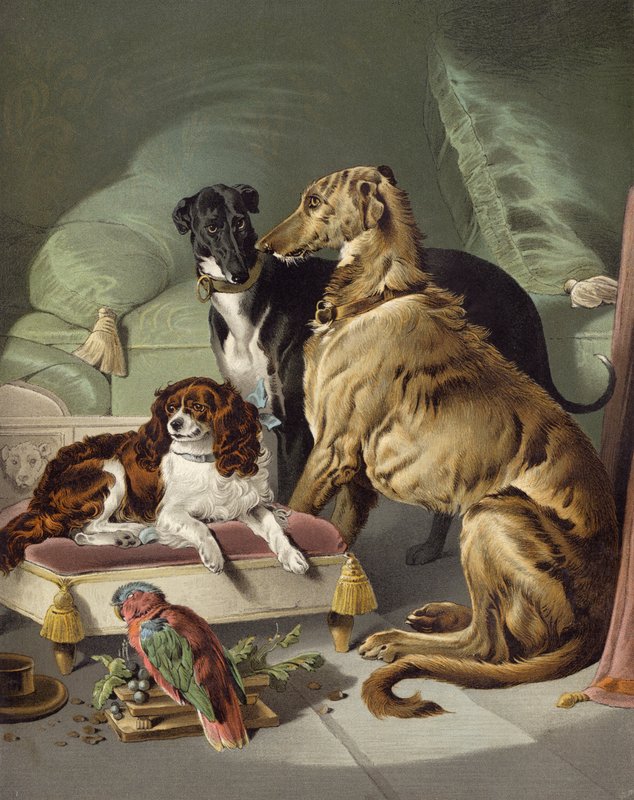 kömür ocağı köpekleri by Edwin after Landseer