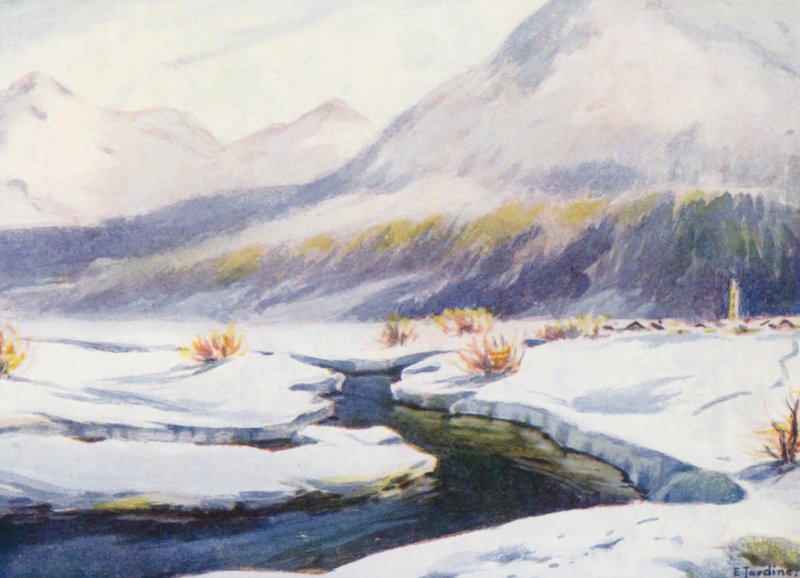  by Effie Jardine