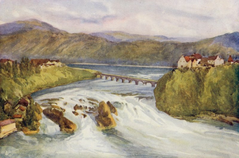  by Effie Jardine