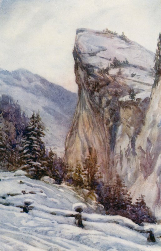  by Effie Jardine