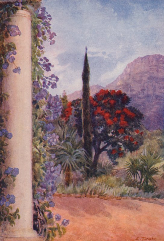  by Elizabeth Drake