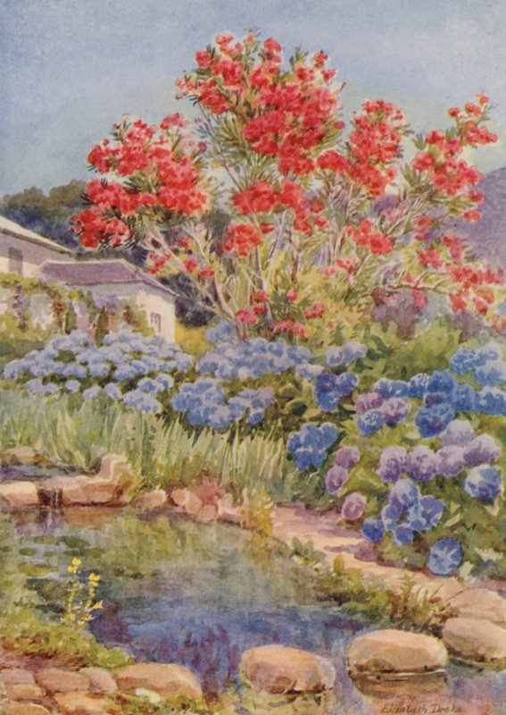  by Elizabeth Drake