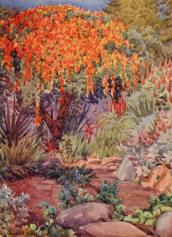  by Elizabeth Drake