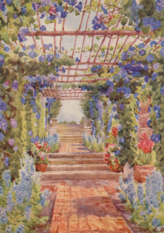  by Elizabeth Drake