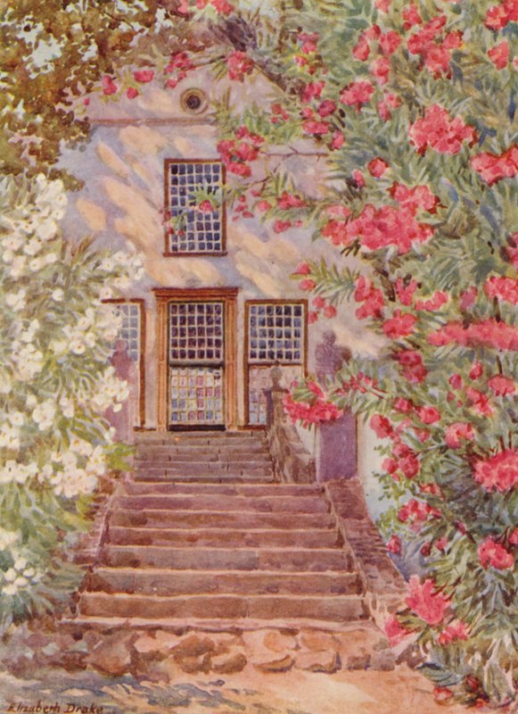 Pembe ve Beyaz Zakkumlar, Alphen, Wynberg (renkli lito) by Elizabeth Drake