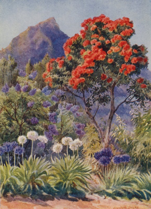  by Elizabeth Drake
