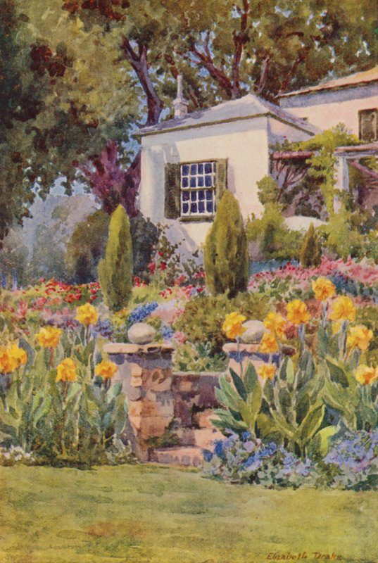  by Elizabeth Drake