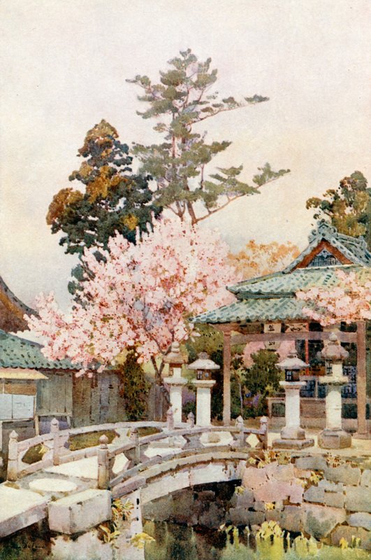 Kyomidzu