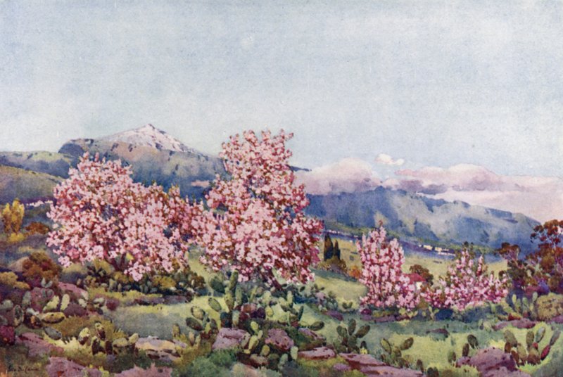 Badem Çiçeği, Orotava Vadisi (renkli taş) by Ella Du Cane