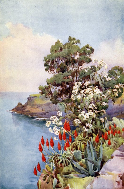 Aloes ve Papatya Ağacı (renkli taş) by Ella Du Cane