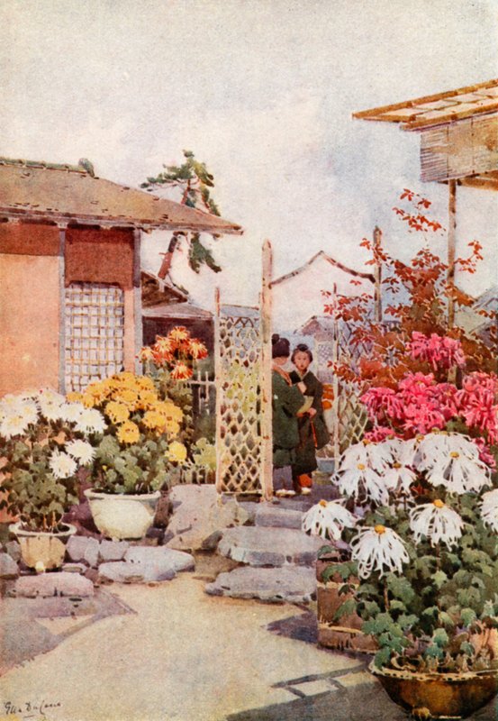 Kasımpatı, Kyoto (renkli taş) by Ella Du Cane