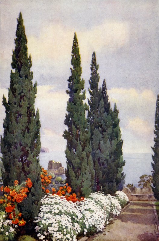 Cypress Avenue, Quinta Stanford (renkli taş) by Ella Du Cane