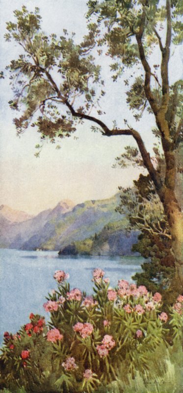 Lecco Gölü, Como Gölü (renkli taş) by Ella Du Cane