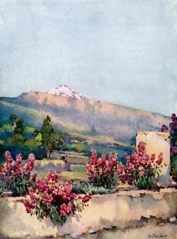 Tepe, Villa Orotava