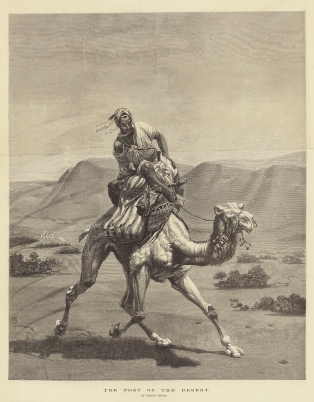 ಮರುಭೂಮಿ ಟರ್ಕಿಯ ಪೋಸ್ಟ್ by Emile Jean Horace Vernet