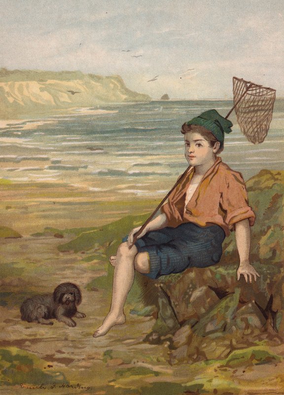  by Emily Jane Harding Andrews