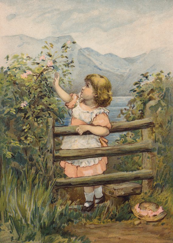  by Emily Jane Harding Andrews