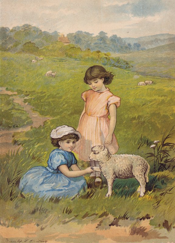  by Emily Jane Harding Andrews