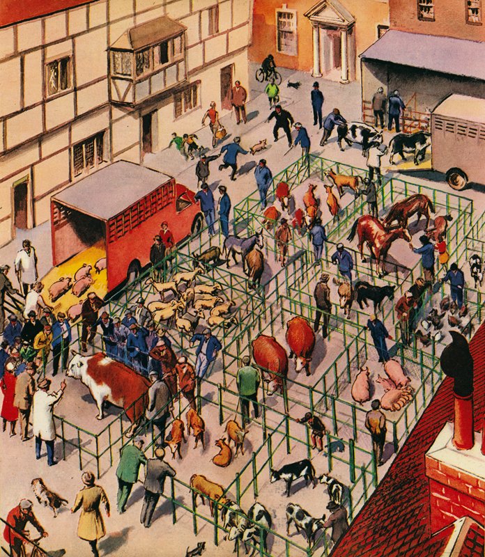 Sığır pazarında, İngiltere, 1960