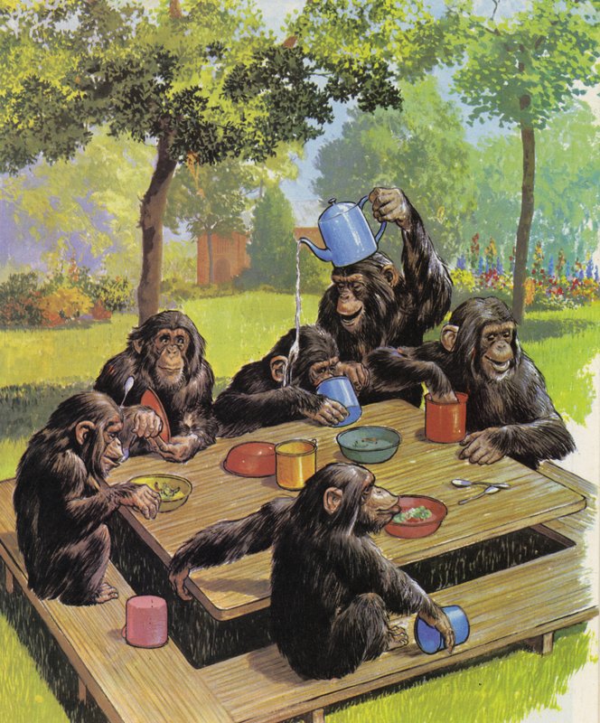 Hayvanat bahçesinde şempanzeler çay partisi by English School
