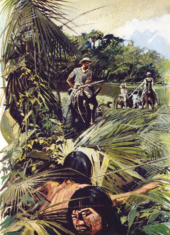 Albay Percy Fawcett, Mato Grosso