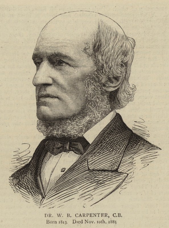 Dr W B Marangoz, CB by English School