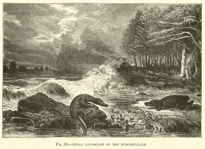 Muschelkalk