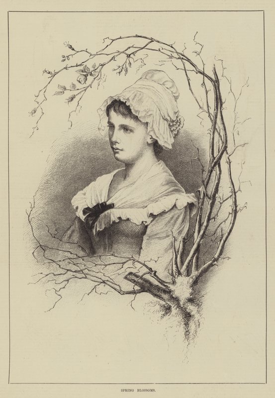 Bahar çiçekleri by English School