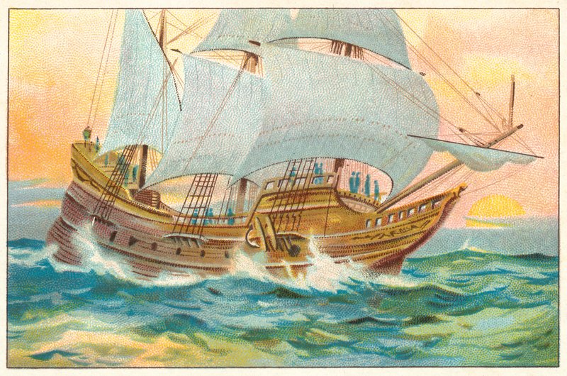 Mayıs Çiçeği by English School