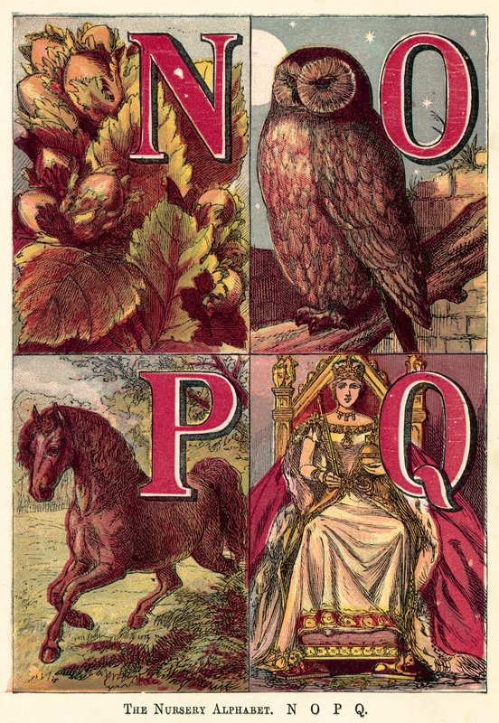 Kreş Alfabesi, N, O, P, Q by English School