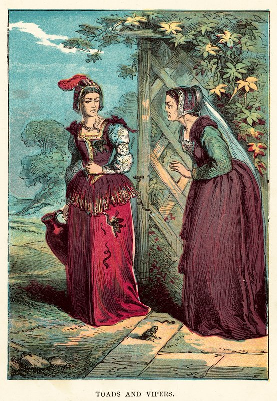 Kurbağalar ve engerekler by English School