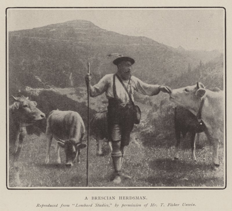 Brescian Çobanı by English Photographer