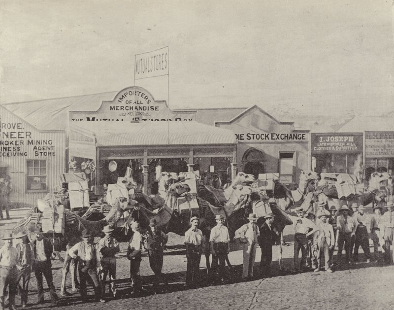Bir Deve Treni, Coolgardie, Batı Avustralya by English Photographer