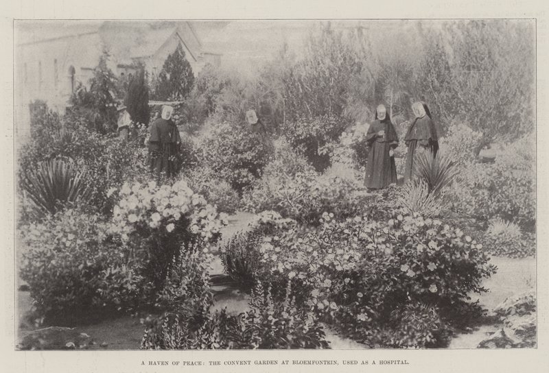 Bir Barış Cenneti, Bloemfontein