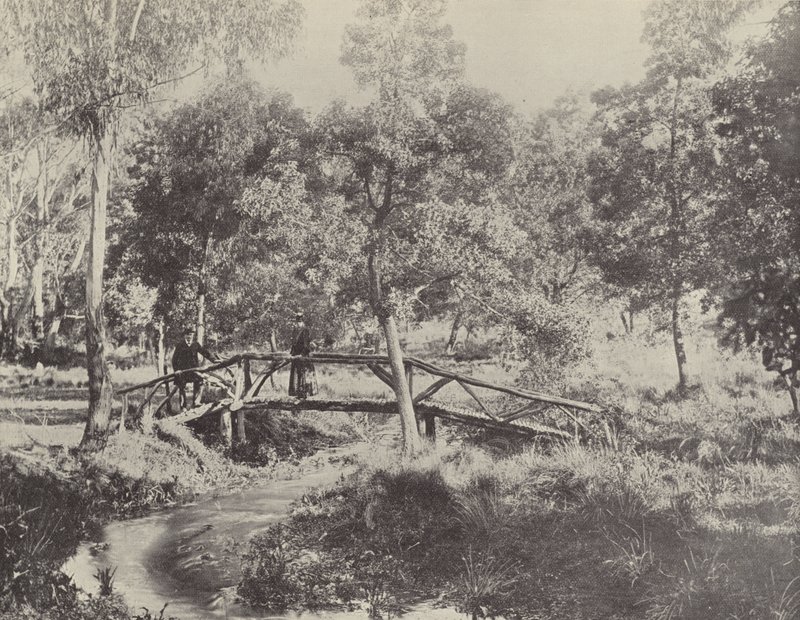 Rustik Bir Köprü, Ballarat Su Rezervi by English Photographer