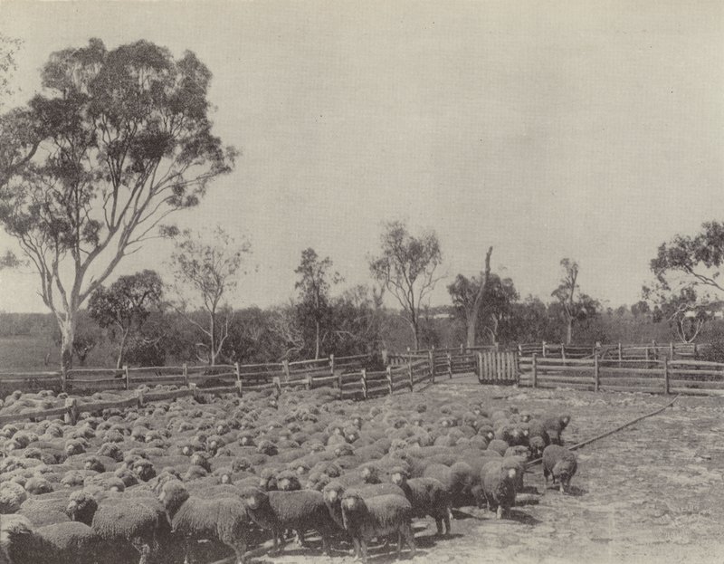 Güney Queensland