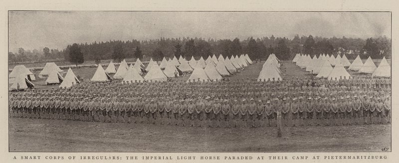 Akıllı Düzensizler Birliği, İmparatorluk Hafif Süvari Pietermaritzburg'daki Kamplarında geçit töreni yaptı by English Photographer
