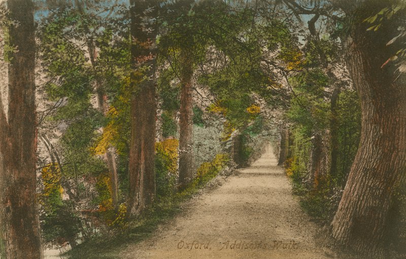 Addison Yürüyüşü, Oxford. 1913 yılında gönderilen kartpostal. by English Photographer