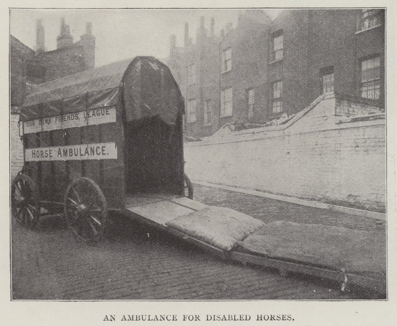 Engelli Atlar İçin Ambulans by English Photographer