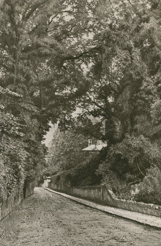 Bonchurch Yolu, Wight Adası by English Photographer