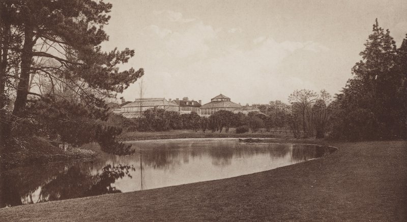 Botanik Bahçeleri, Cambridge (s/b fotoğraf) by English Photographer